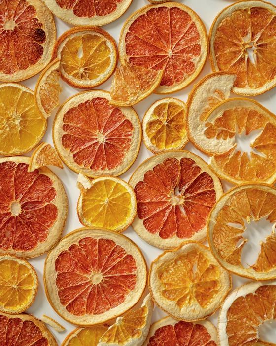 Sunlit dried citrus wheels laid out edge to edge